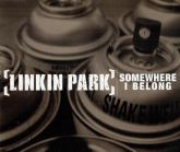 SINGLE - SOMEWHERE I BELONG